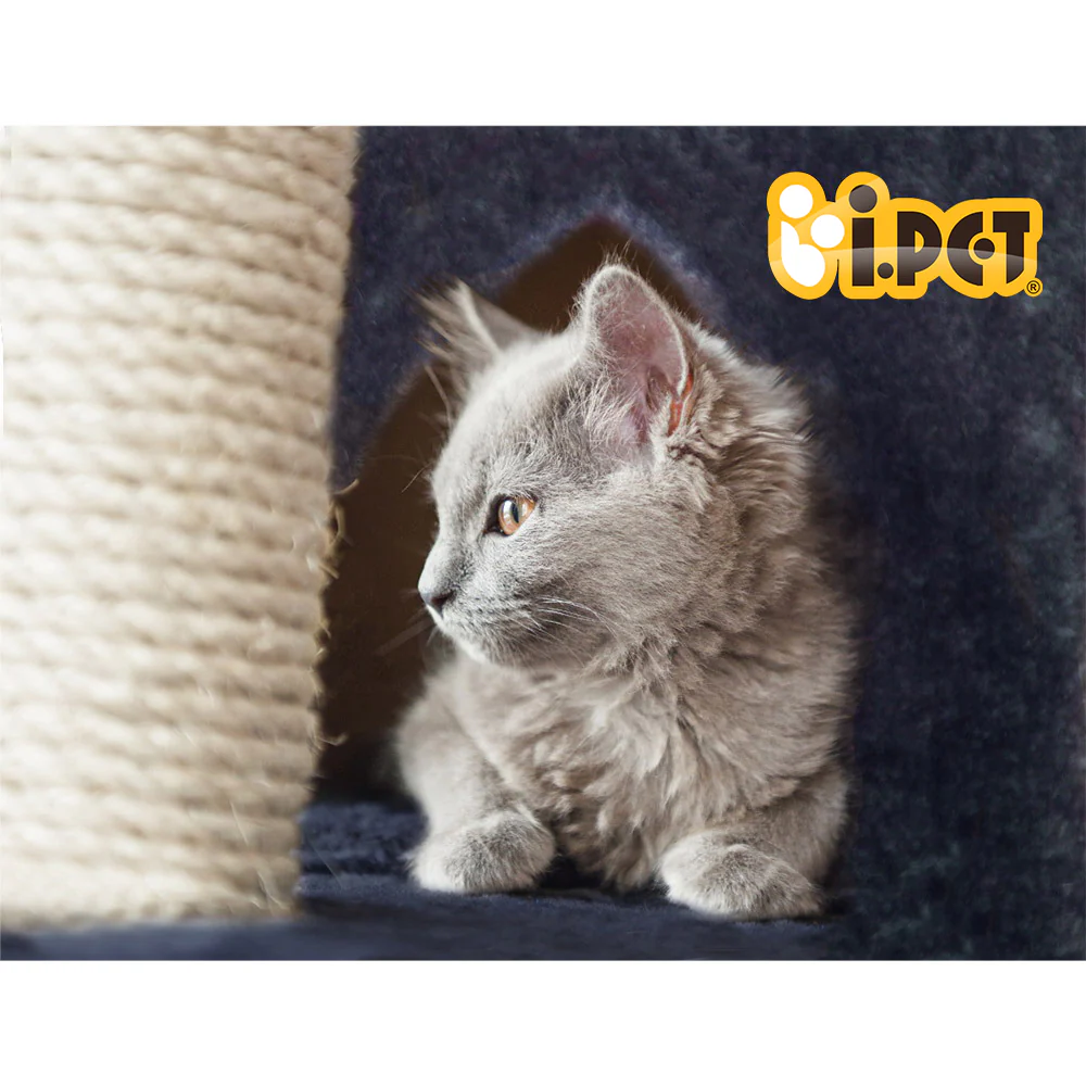 Cat Tree 244cm Tower Scratching Post Scratcher Trees Condo House Grey - Image 6