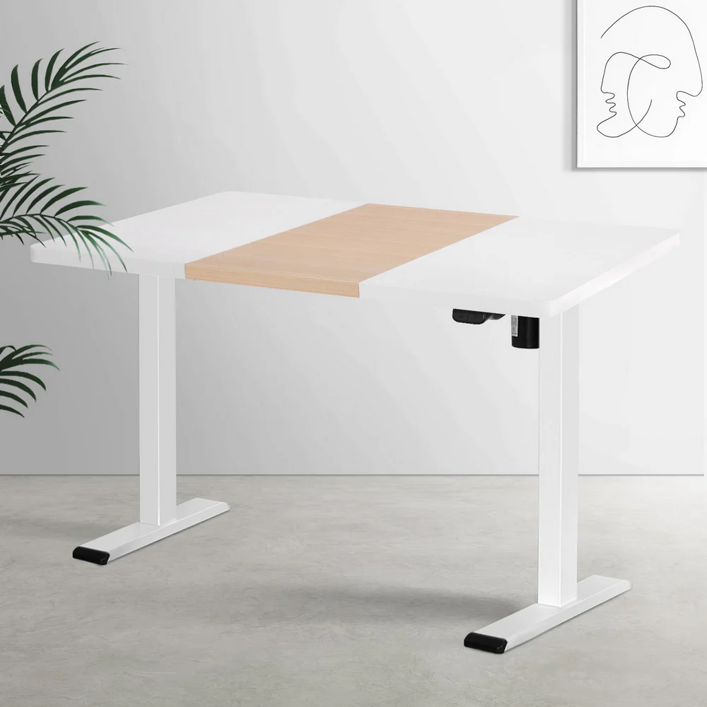Standing Desk Motorised Sit Stand Desks 120CM