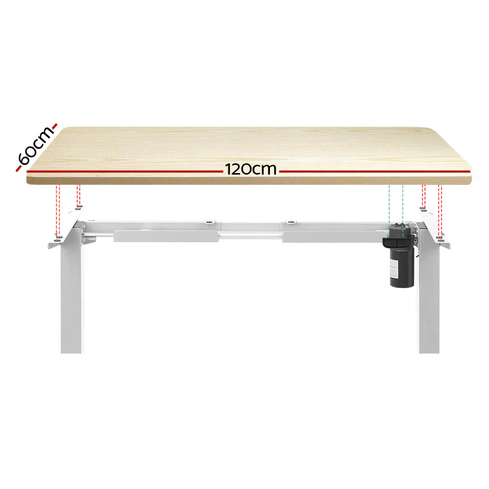 Standing Desk Motorised Sit Stand Desks White Oak 120CM - Image 3